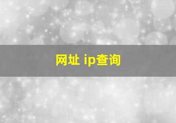 网址 ip查询